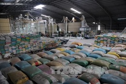 Gia hạn thỏa thuận về thương mại gạo với Philippines 